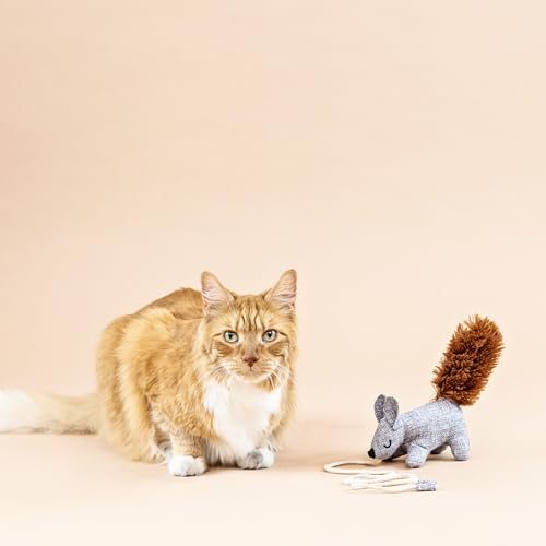 Fringe Studio ONE TUFF NUT Teaser Cat Toy, PetShop Collection (717001) - Image 4