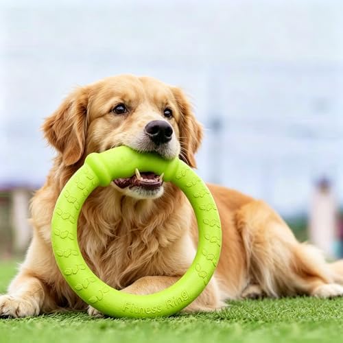 LaRoo Dog Ring Toy, Durable Soft Flying Disc, Thickened, Floatable Pool Toy for Medium Large Dogs, Interactive Tug of War & Fetch Toy for Outdoor Training, Teeth Cleaning & Exercise (Green-11.8inch) - Image 2