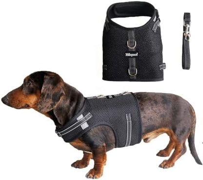 Mini Dachshund Harness – No Armpit Rub, Escape Proof, Reflective, No Pull Vest-Style Dachshunds Harness,Breathable Mesh Dog Harness (Black, S: Chest 32-41cm (12.5"-16")) by Unknown