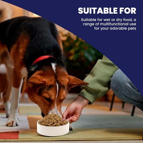 SPOT Ceramic Stoneware- Pet Bowl for Medium and Large Dogs, Classic Heavy Duty Non-Slip Ceramic Bowl for Food and Water - 7.5in Diameter - Image 3
