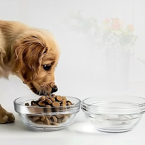 2 Pack Glass Bowls for LFTYTUO Pet Feeders Stand, Replacement Cat Dog Glass Bowl, Easy to Clean Food Water Bowls, 30 oz / 1000 ml - Image 5