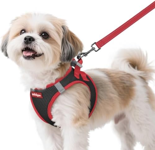 rabbitgoo Dog Harness Small Sized and Leash Set, Step in Soft Vest by rabbitgoo