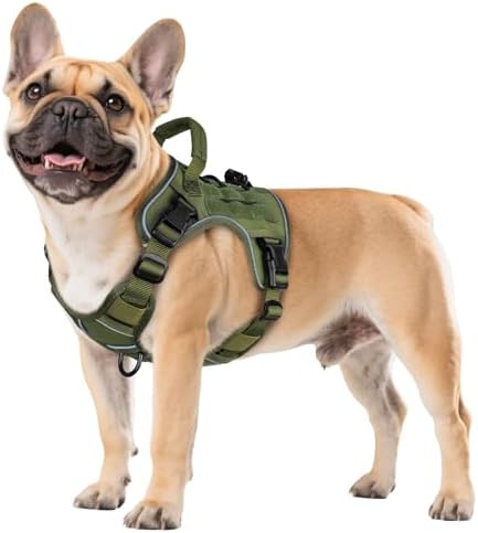 WINGOIN Green Tactical Dog Harness for Small Dogs,No Pull Dog Harness by WINGOIN