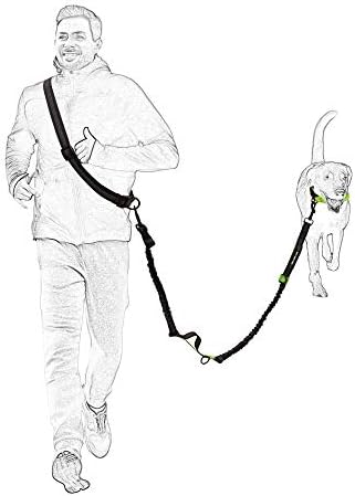 Mile High Life Hands Free Leash, Waist Leash for Dog Running Training and Jogging, Adjustable Belt with Double Padded Handle, Reflective Bungee for Medium Large Dogs (Blue, 7FT) - Image 5
