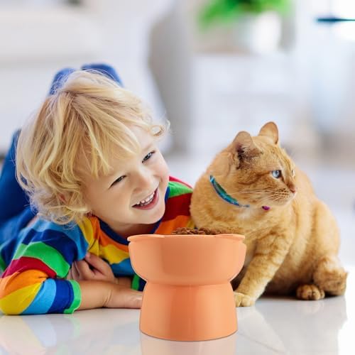 Hsei 6 Pcs Raised Cat Bowls Tilted Anti Vomit Pet Feeder, Cute Color - Image 4