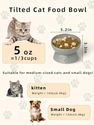 Ceramic Cat Food Bowl, 15° Tilted Raised Cat Food Bowl 5 oz (Vintage Grey) - Image 2