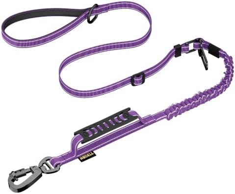 AUBELL Tactical Dog Leash Heavy Duty,4-6ft No Pull Bungee Leash,Purple by AUBELL