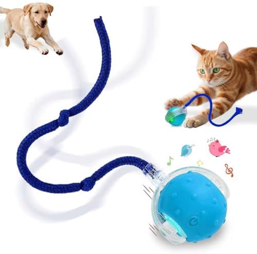 Interactive Cat Toys Smart Ball for Cats & Dogs! Now with 2 Rapid Tails. Features: 360°Auto-Rolling, Motion Activation& Bird Sounds. Perfect for Indoor Pet Exercise & Fun. (Blue) by Unknown