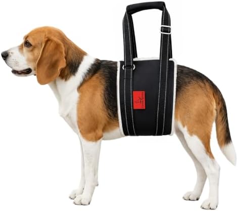 Dog Lift Harness - Adjustable Sling for Rear Legs with Soft Support for Senior, Injured, Disabled Dogs After ACL Surgery - Helping Pets with Canine Aid and Rehab Support (M) by CoverGeny