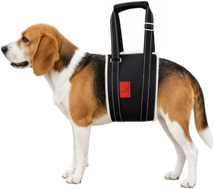 Dog Lift Harness - Adjustable Sling for Rear Legs with Soft Support for Senior, Injured, Disabled Dogs After ACL Surgery - Helping Pets with Canine Aid and Rehab Support (M) by CoverGeny