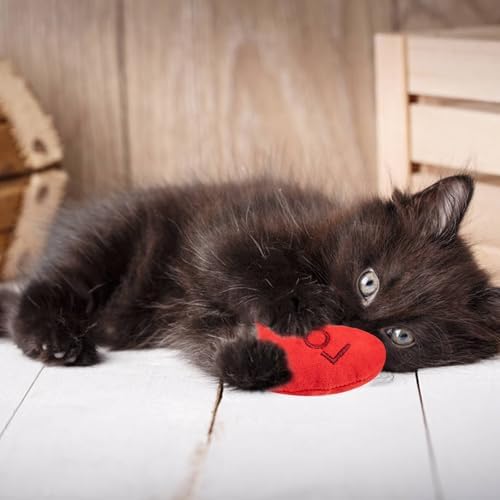 6pcs Valentine's Day Heart Catnip Toy，Valentines Indoor Heart Shaped Cat Toy Plush Interactive Chew Bite Toys for Cat Kitten Indoor Festive Holiday Cat Lover Gift - Image 4