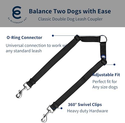 Blueberry Pet Essentials Durable Classic Double Dog Leash Coupler, Black, Small, Dual Walking & Training Leashes for Two Dogs - Image 2