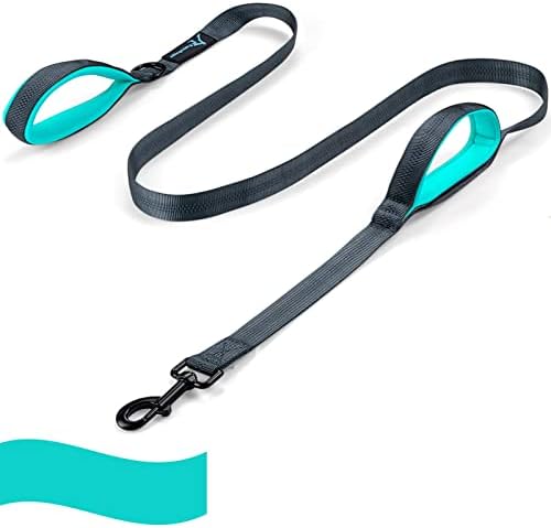 Dog Leash for Large Medium Dogs 6Ft x 1" Reflective Stitching Large Pet Leash with 2 Traffic Padded Handles Dog Lead Rope for Running Walking Training (Green 1 Pack) by PuppyDoggy
