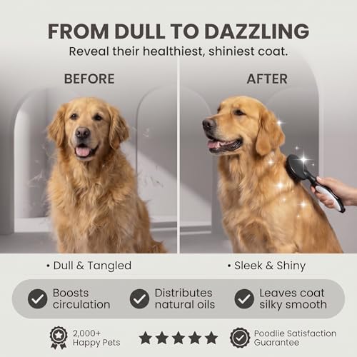 Round Bristle Pet Brush for Dogs and Cats - Soft Dog Brush for Grooming Short or Long Hair - Gentle Tool for Sensitive Skin Removes Dander, Dirt, and Detangles (Black) - Image 6
