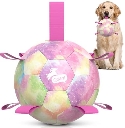 QDAN Dog Balls, Dog Herding Ball, 8 Inch Large Dog Soccer Ball with Strap by QDAN