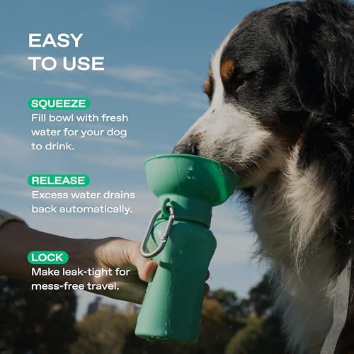 Springland 20oz Flip Portable Dog Water Bottle with Collapsible Bowl, Black - Image 5