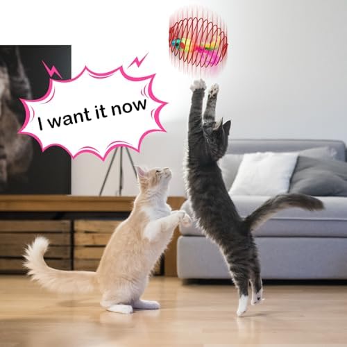 Jecery 5 Pcs Cat Toys Spring,Mouse, Rainbow Color - Image 6