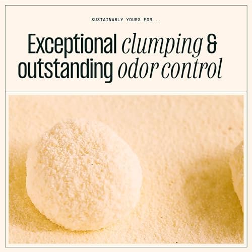 Sustainably Yours Natural Cat Litter, Mixed-Grain Formula, Exceptional Clumping & Odor Control, Virtually No Dust, Easy to Scoop, Corn & Cassava Plant-Based, Unscented, 10 lbs - Image 4