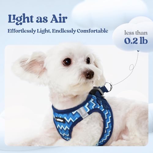 rabbitgoo Dog Harness Small Sized and Leash Set, Step-in Puppy Pet Vest - Image 3