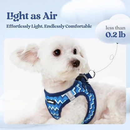 rabbitgoo Dog Harness Small Sized and Leash Set, Step-in Puppy Pet Vest - Image 3
