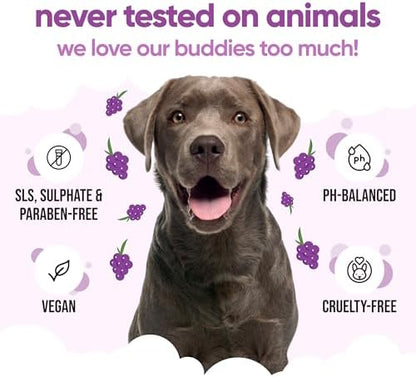 Grape Scented Puppy Shampoo by Buddycare | For Smelly Dogs from 8 Weeks | Aloe Vera & Pro Vitamin B5 (16.90oz) - Image 5