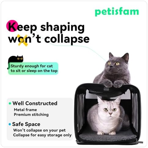 Soft Pet Carrier Bag for Cats and Puppy Under 20 lbs. Sturdy, Safe, Comfortable and Lightweight - Image 4