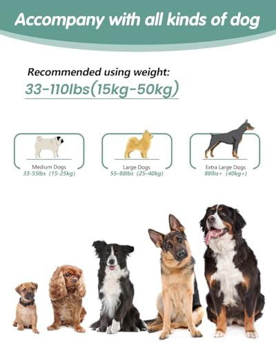Hands Free Dog Leash, Multifunctional Crossbody Dog Leash - Image 6