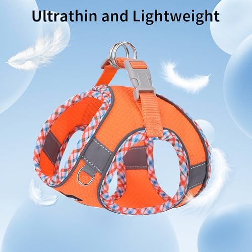 AIITLE Medium Dog Harness and Leash Set with Breathable Mesh, Orange M - Image 5