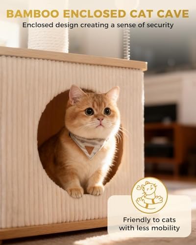 Small Cat Tree for Indoor Kittens, 30" Compact Modern Cat Tower - Image 3