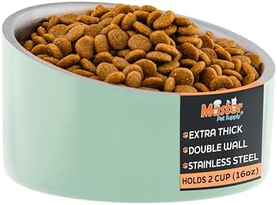 Master Pet Supply Stainless Steel Slanted Dog Cat Food Bowl 16 oz Pistachio by MasterPetSupply