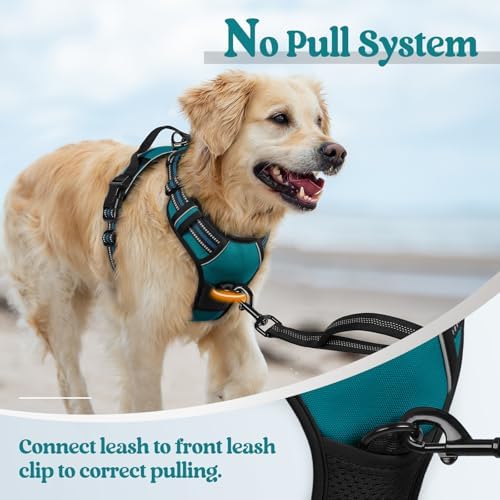 rabbitgoo Dog Harness, No Pull for Large Dogs with 2 Leash Clips, Pet Vest - Image 5