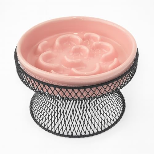 Raised Ceramic Cat Slow Feeder Bowl Elevated Food Bowl with Stand, Cat Slow Bowl for Wet Food and Dry Food, Whisker Friendly Pet Feeder for Kitty and Small Dog by Trundisan