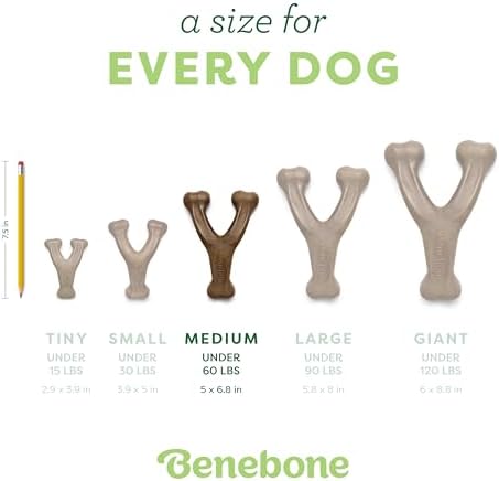 Benebone 2-Pack Wishbone Toy for Aggressive Chewers, Real Bacon, Medium - Image 4