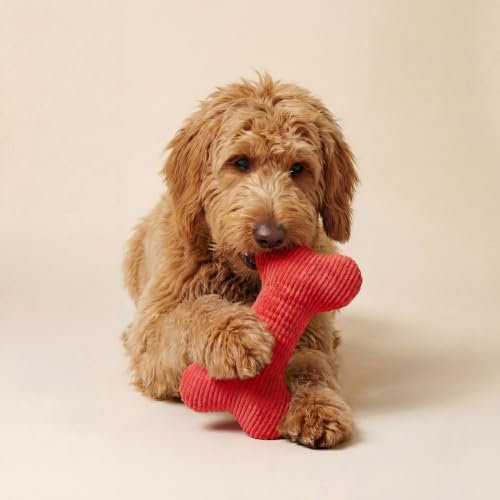 Playology Durable Plush Bone Toy - Crinkle Bone - Jumbo, Beef Scent - Image 3