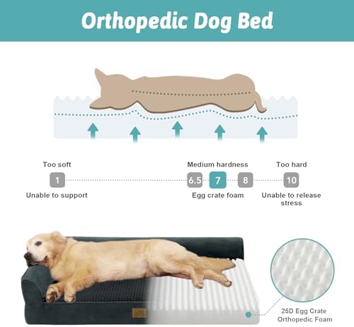 COZY KISS Orthopedic Dog Bed for Large Sized Dogs, L Shaped 36x27 inch - Image 2