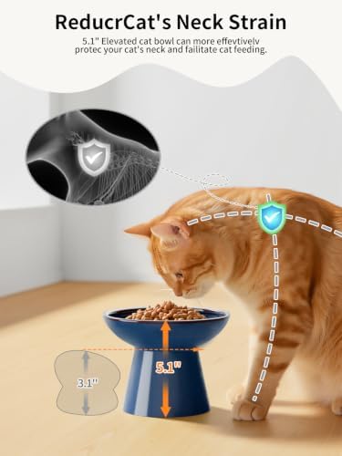 LoeJan Elevated Food and Water Bowls Set, Extra Wide and Raised Ceramic Feeder, Anti-Vomit Whisker-Free Pressure Cat Feeding Bowl for Kittens Adult Cats Small Dogs - Image 3
