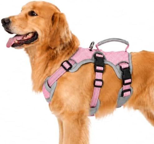 Huntboo Escape Proof Dog Harness, Dachshund Harness, Reflective Dog Harness with Handle, Durable,Adjustable Vest for Small Medium Large Dogs Walking, Training, and Running Gear (Pink,L) by Huntboo