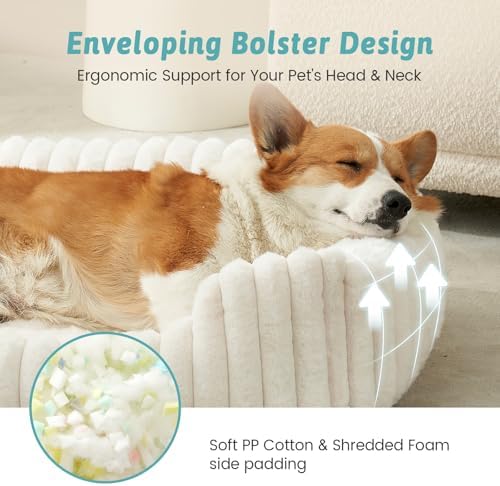 Orthopedic Dog Bed for Medium Dogs & Large Dogs - Washable Rectangle Pet Bed with Anti-Slip Bottom, Soft Calming Cat & Puppy Bed for Indoor Pets (35"x25"x8", Cream) - Image 5