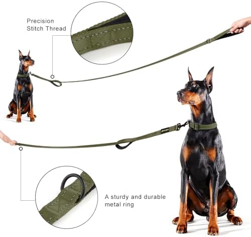 Plutus Pet Double Handle Dog Leash, 6 FT Long, for Medium Large Dogs - Image 6