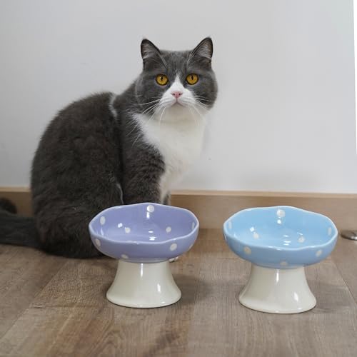 Purple Mushroom Cat Bowl, Elevated Ceramic Bowl for Cats - Image 6