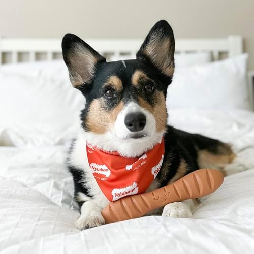 Nylabone Baguette Power Chew Toy for Dogs, Dog Toys for Aggressive Chewers, Roast Chicken Flavor, Large Dogs - Up to 50 lbs, 1 Count - Image 2