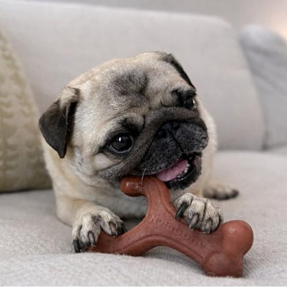 Nylabone Strong Chew Wishbone Dog Toy, Dog Toys for Aggressive Chewers - Image 5