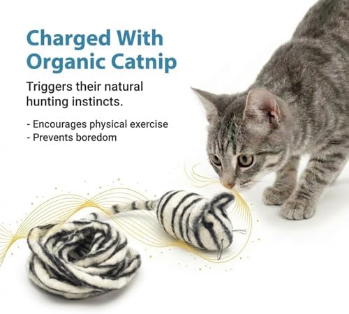 Glaciart One Felt Mouse Cat Toy – Soft Fuzzy Enrichment 100% Natural Wool - Interactive Catnip Play Cat Toy Set - Safe for Pets, Non-AZO Colored Dyes - 100” Long - Image 6