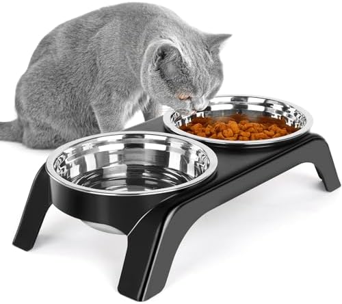 Elevated Cat Bowls - Anti-Vomiting Raised Food Bowl Set With 2 Stainless Steel Bowls, Prevents Neck Pain, ABS Anti-Slip Stand for Indoor Cats & Puppies (Black) by BEFOCO