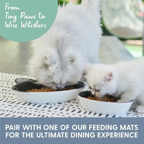 The Cat Ladies Ceramic Cat Bowls - Whisker Friendly Food Bowl - Cute Pet, Kitten Plates - Dishes for Indoor Cats - Dish for Wet Food & Water - Platos para Gatos - Black and White Cat, Set of 2 - Image 6
