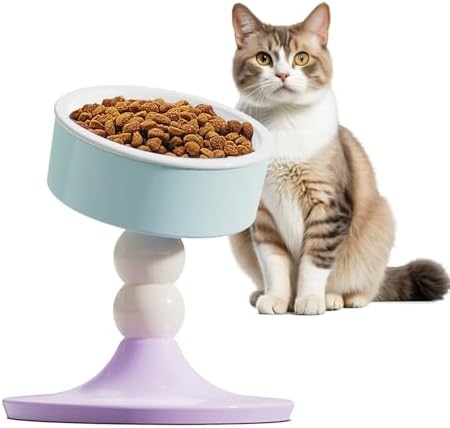 Elevated Cat Bowls, Slanted Ceramic Cat Bowl for Indoor Cats by Unknown
