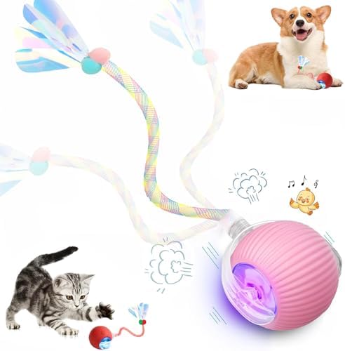 Speed 2.0 Tail Interactive Cat Toys for Indoor Cats, Moving Cat Toy by Unknown