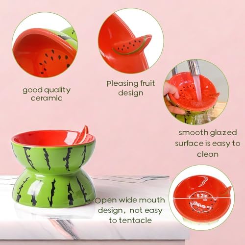 Elevated Cat Bowl Ceramic Raised Cat Food Water Bowls for Indoor Kitten - Image 5