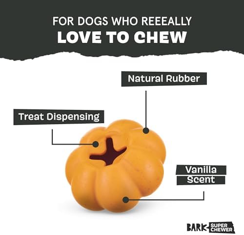 BarkBox Squash Dog Toy - Image 2