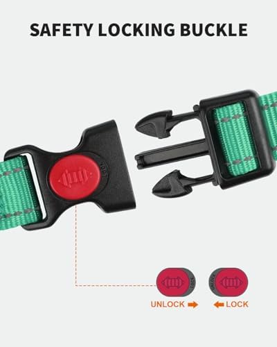 FunTags Martingale Dog Collar and Leash Set for Medium Dogs, Locking Buckle - Image 3